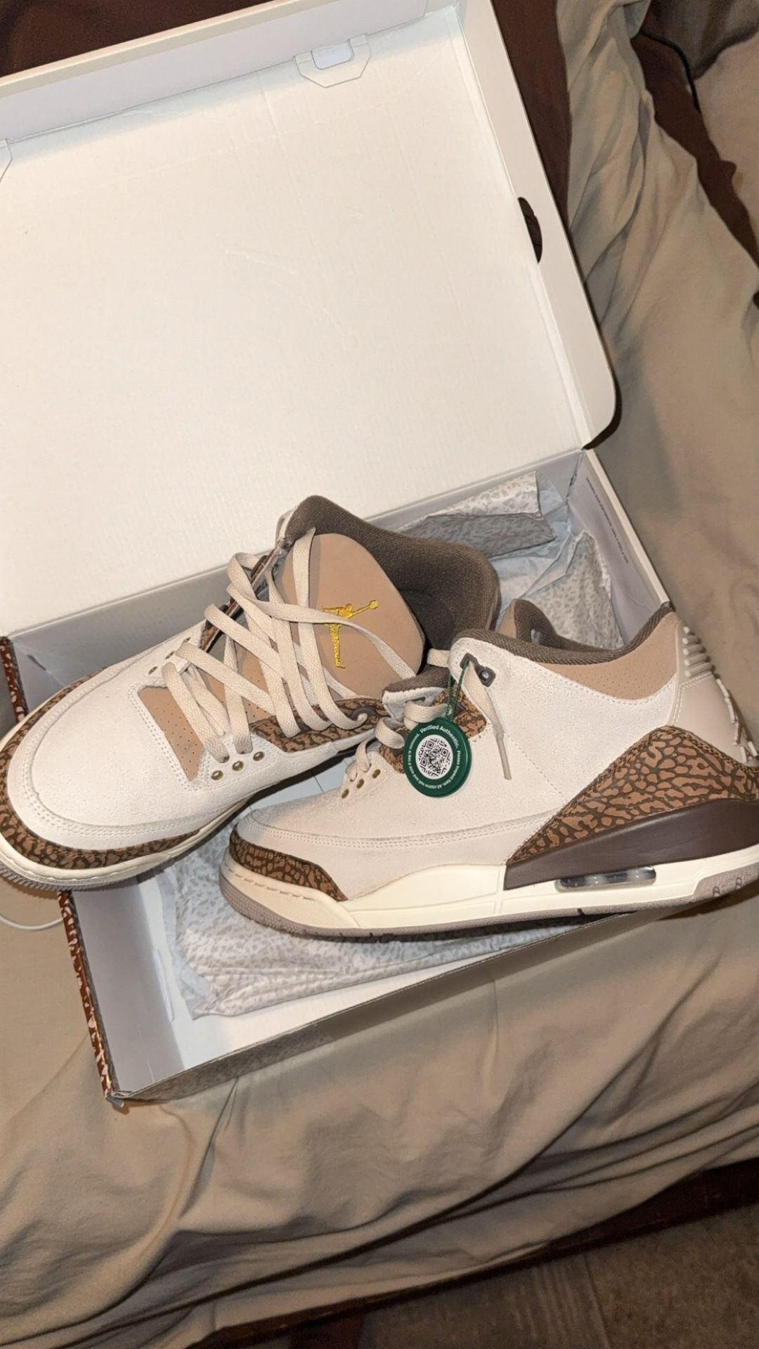 Jordan 3 