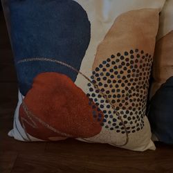 Two Decorative Pillows With Covers
