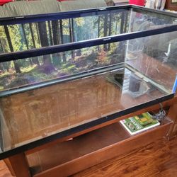 Terrarium Reptile Tank n Accessories