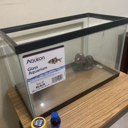 Fish Tank   (All New),  Never Used.    Decorative Stuff Inside And Accessories Are New ( About 50 Liter Capacity)