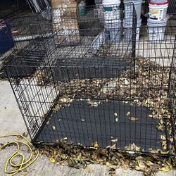 Dog Cages / Jaulas Para Perritos 