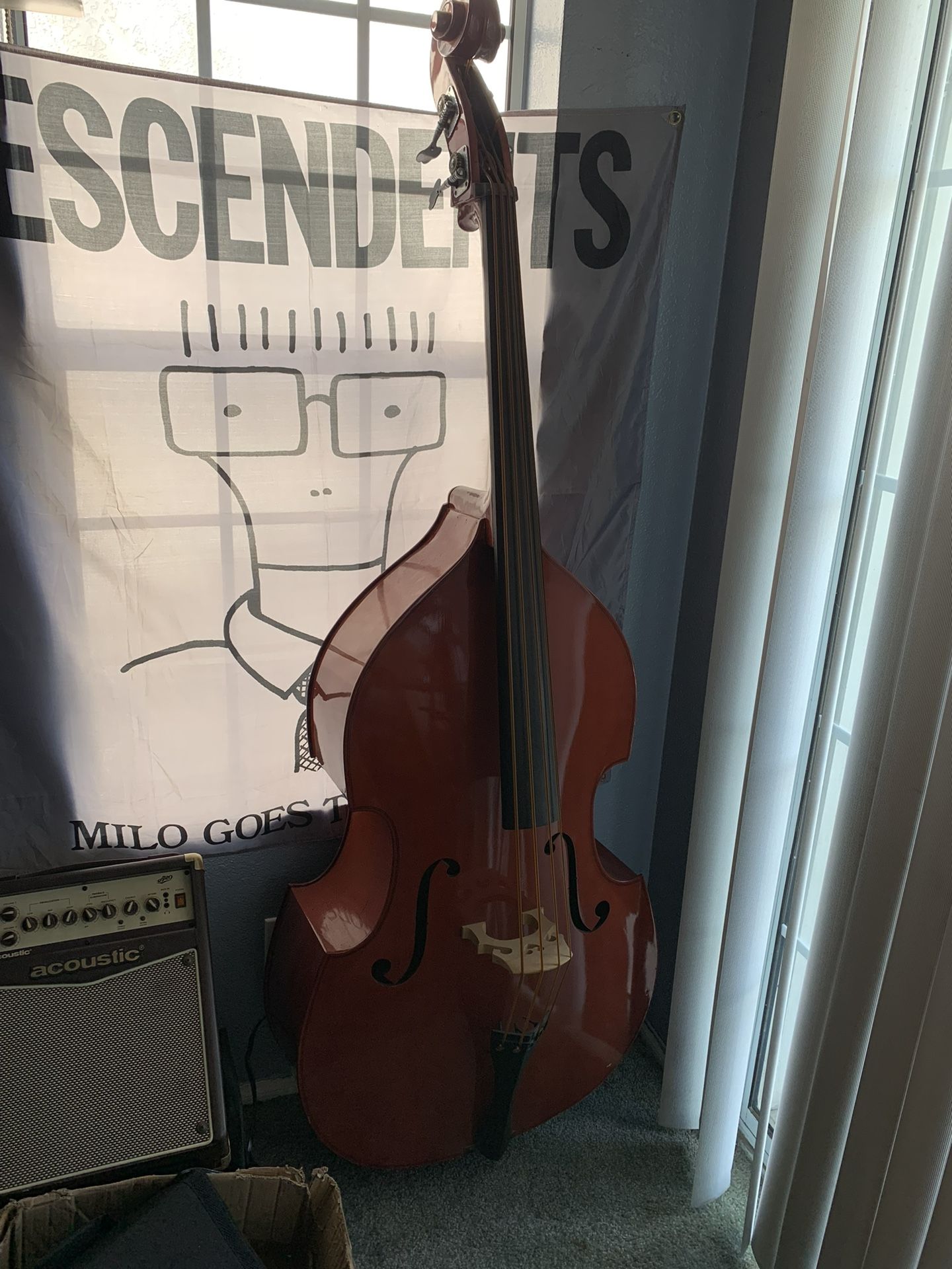 Stand Up Bass for Sale in Los Angeles, CA OfferUp