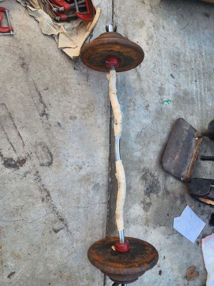 Curl Bar