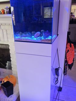 JBJ 20G Aquarium Tank with White Cabinet Stand