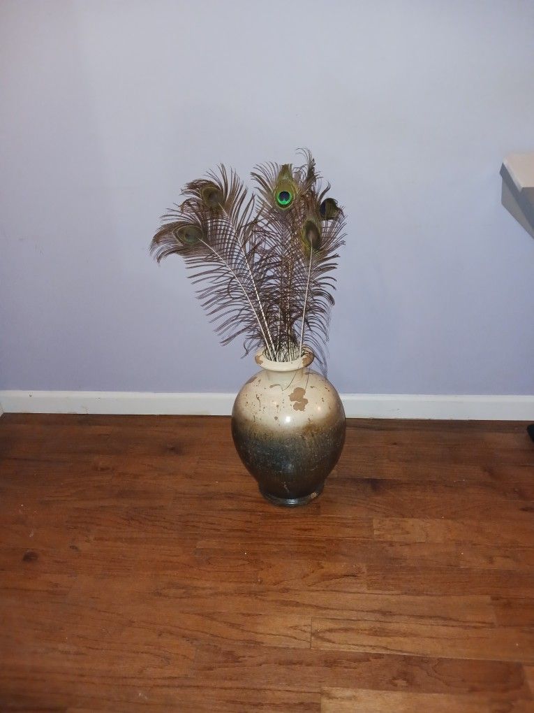 Fake Peacock Plant