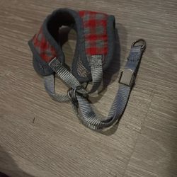 small dog harness