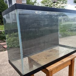 30 Gallon Fish Tank With Supplies 