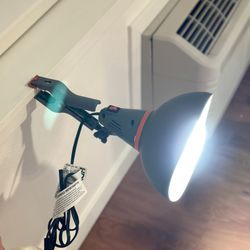 Spotlight Lighting l Influencer Lighting l Clip Everywhere You Want to Get Better Photos Result 