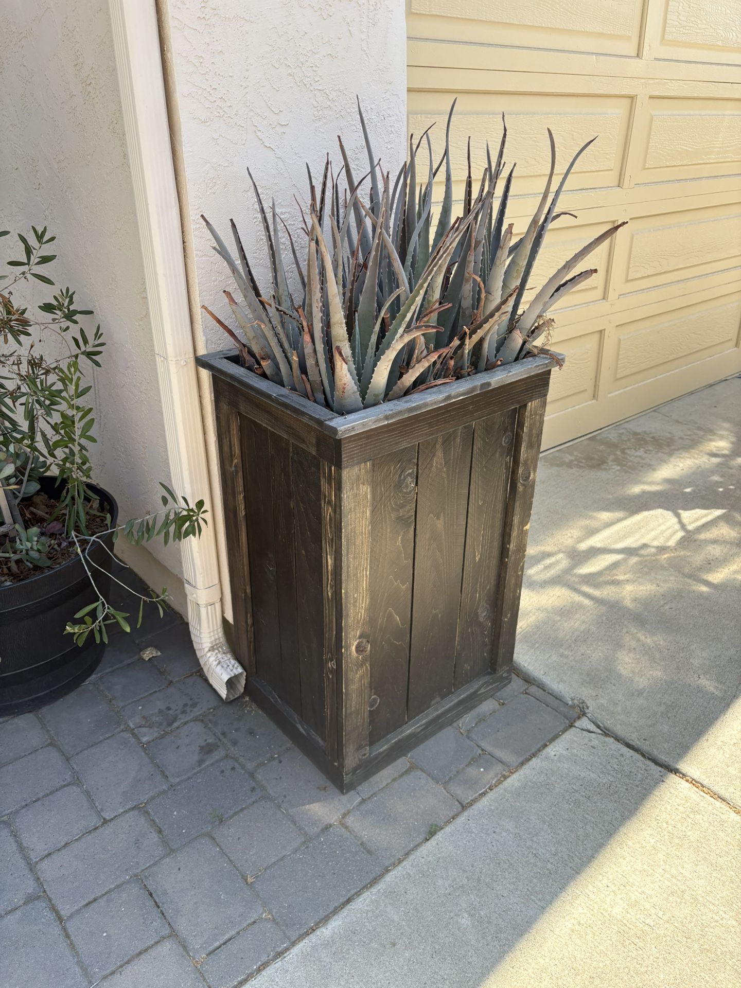 2 Tall Wood Planters With Aloe Plants