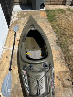 Kayak Sundolphin excursion 10