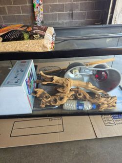 Reptile equipment
