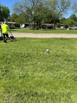 Lawn Care / Leaf Clean Up 