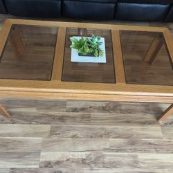 Solid Oak 3-Glass Insert Coffee Table + Planter