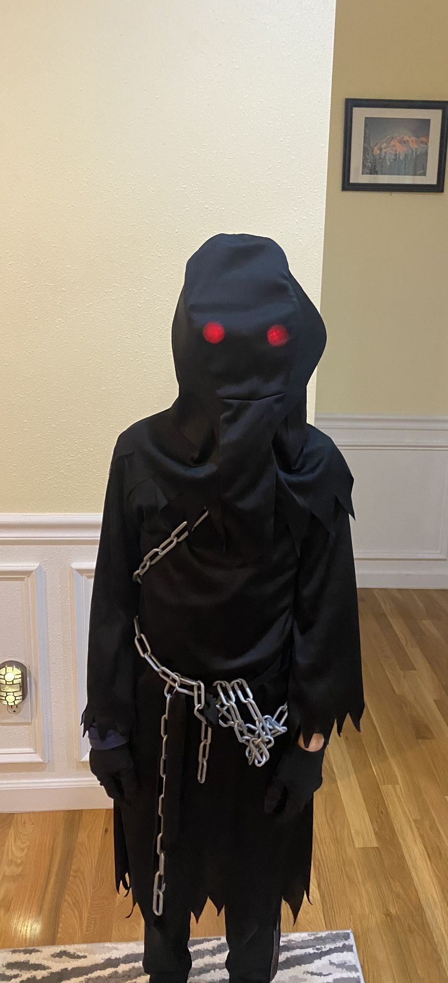 Halloween Costume Size 8-10
