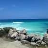 Salt Life