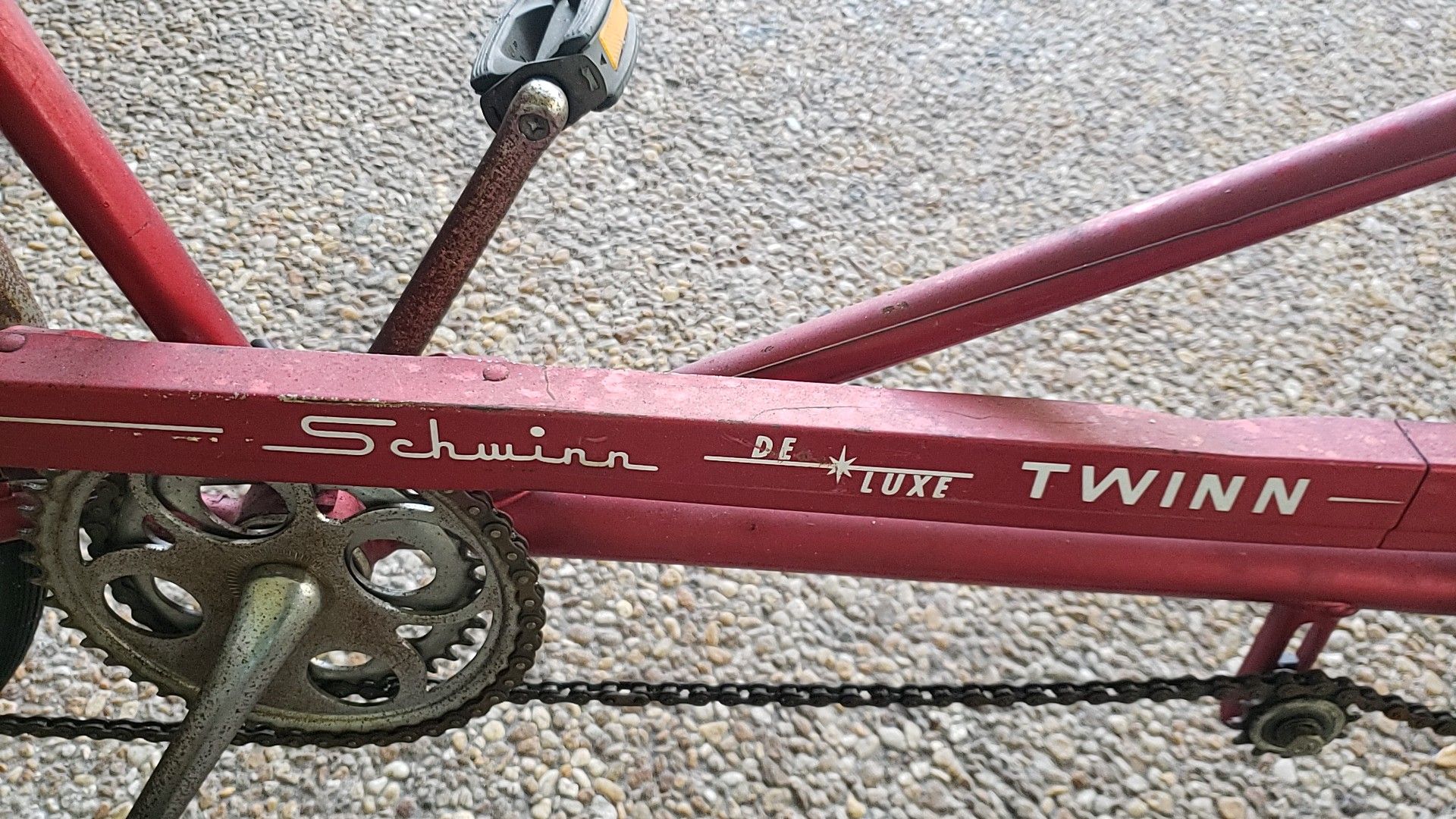 Schwinn tandem bike