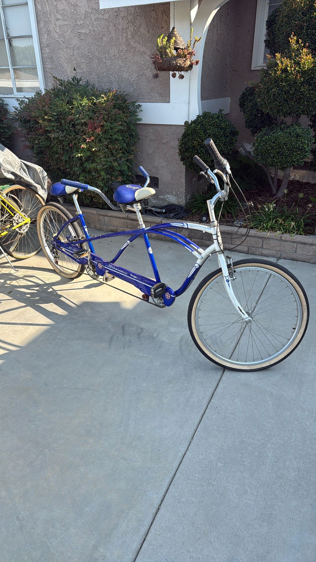 Schwinn Tandem Bike