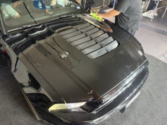Hood And Car Wraps Special