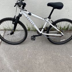Jami’s Fester Bike