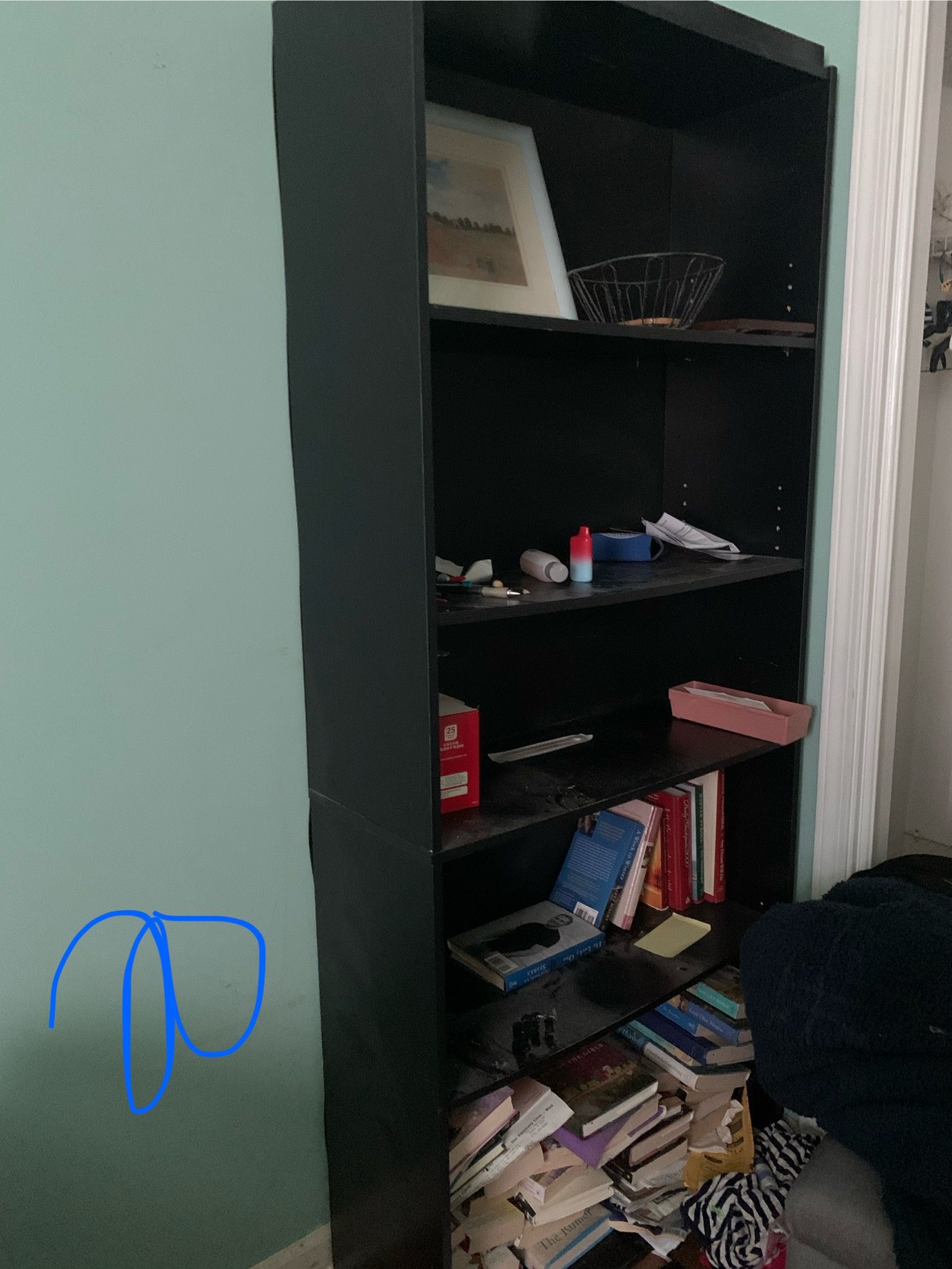 Book Shelves And DVD Shelves