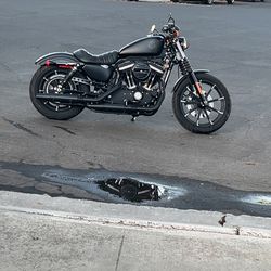 2021 Harley Davidson  Iron 883 sport
