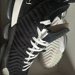 LeBron XVI