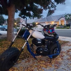 Massimo MB200 Open To Trades