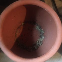 3 Glazed Flower Pots, 2 Different Sizes
