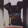 Jesse