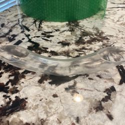 Glass Flower Vase