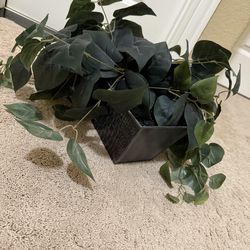 Green leaves pot decor