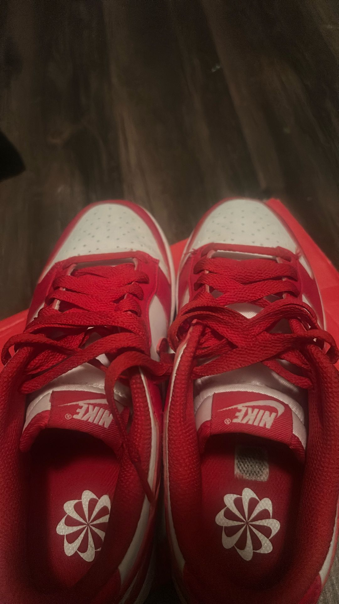 Nike Low Dunks University Red
