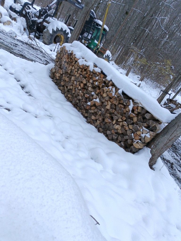 Seasoned Firewood Hardwood