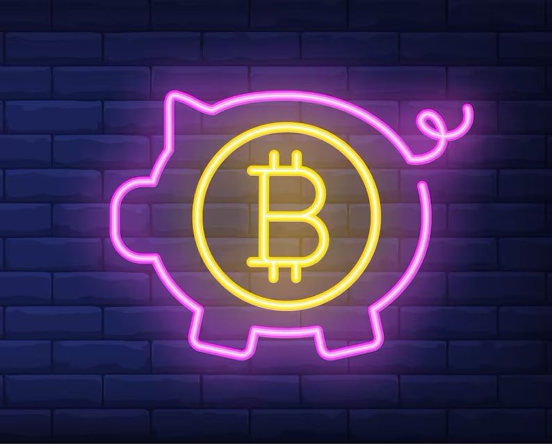 Piggy Bank Crypto LED Sign Wall