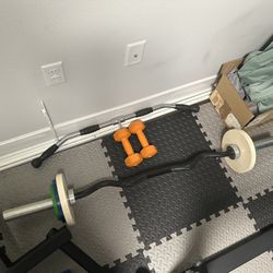 Rogue curl bar + 35LB change plate set