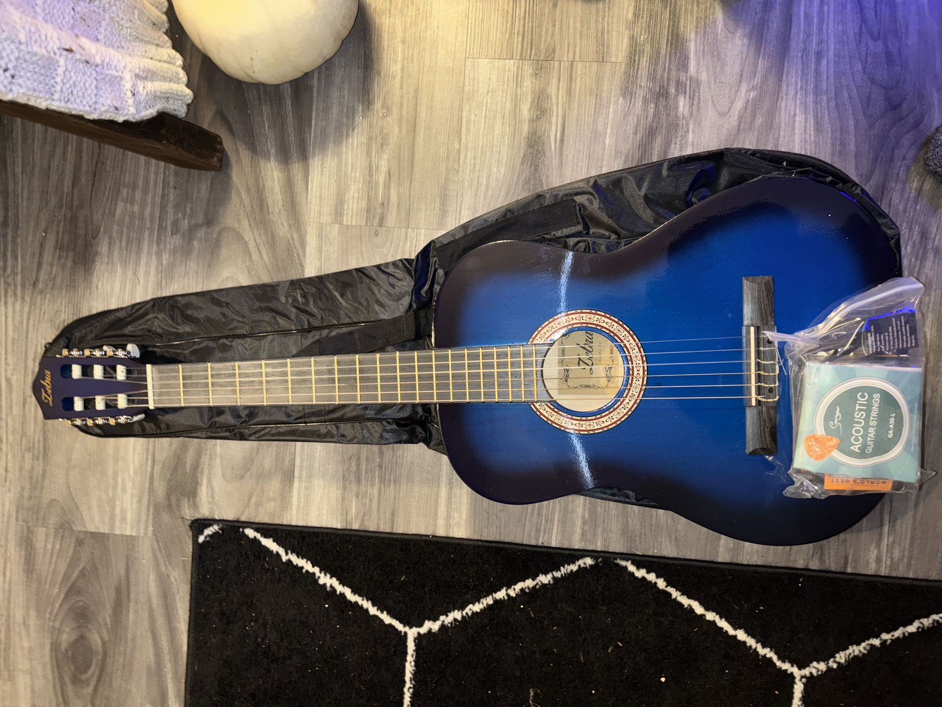 Brand New Guitar