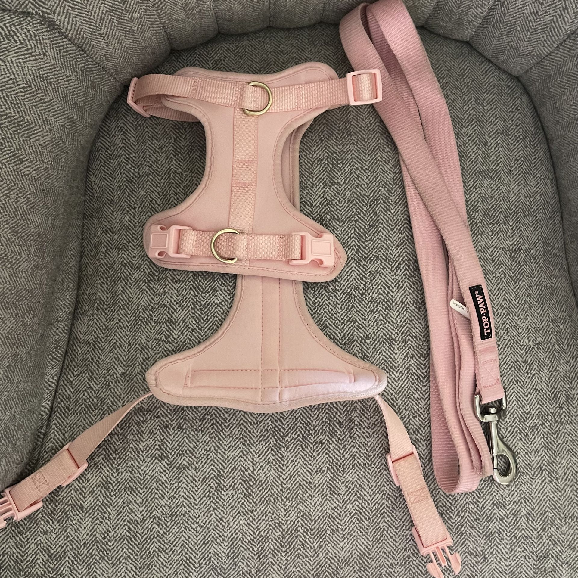 Medium Size Dog Harness and Leash Set