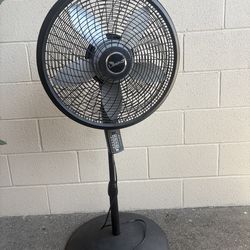 Fan