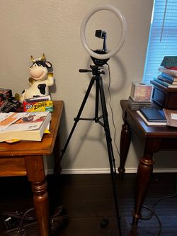 Ring light with stand