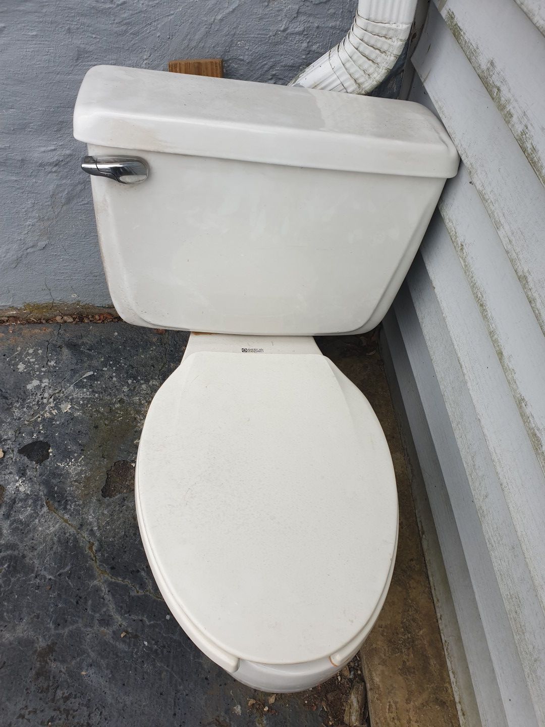 Free elongated toilet.