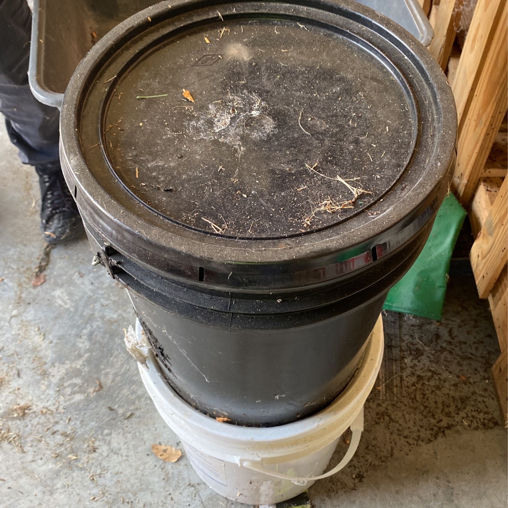 Bucket Of Gator Patch 