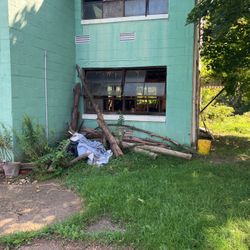 Free firewood