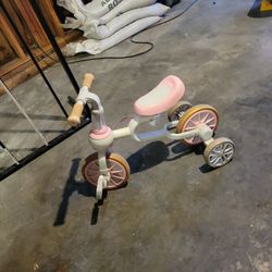 Toddler Bike
