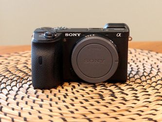 Sony a6600 Camera Body