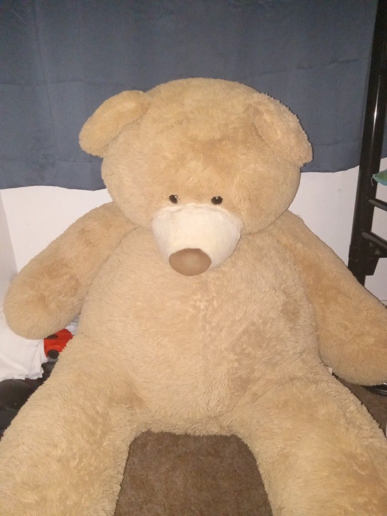 Teddy Bear Biggest