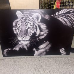 Black and white Tiger on Canvas