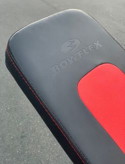 Bowflex Adjustable Bench