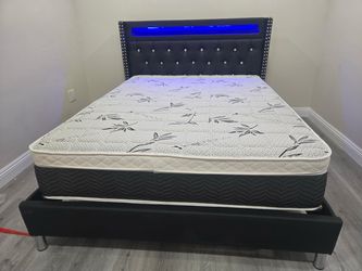 Cama y Colchones