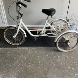 20” Tricycle Bike 