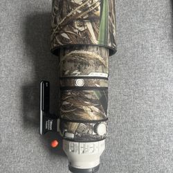 Sony 200-600mm Telephoto Lens